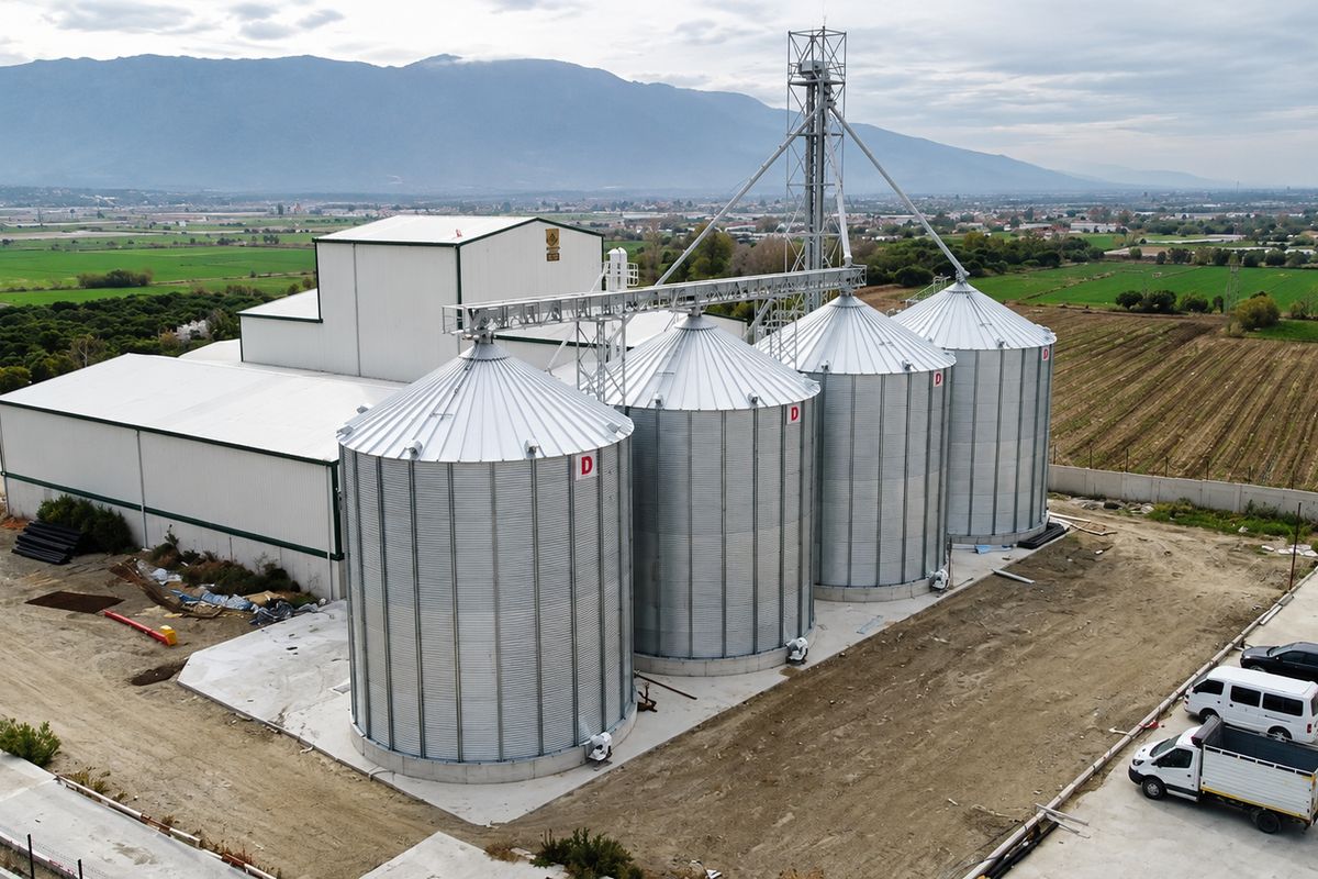 Four-cell flat-bottom silo group — Storage, intake and overhead conveyor gallery