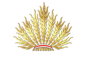 Client Client company logo