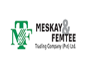 Meskay & Femtee Meskay & Femtee logo