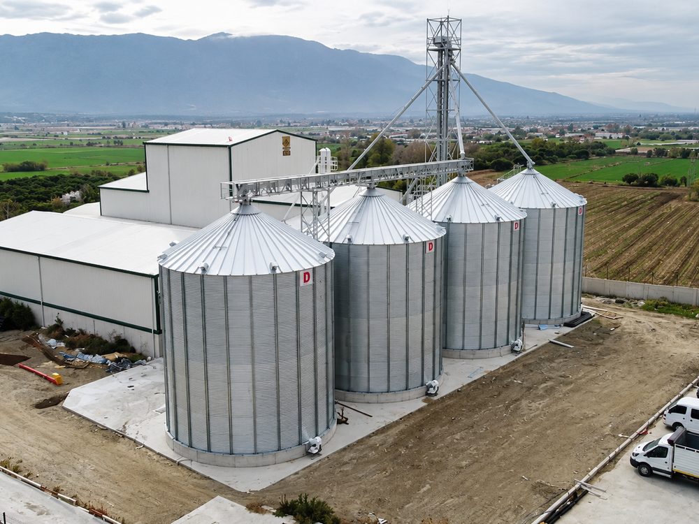 Four galvanised steel grain storage silos with elevator tower and conveyor gallery